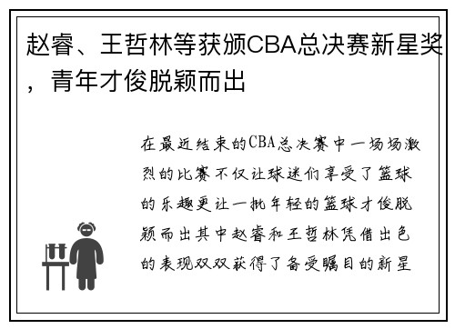 赵睿、王哲林等获颁CBA总决赛新星奖，青年才俊脱颖而出
