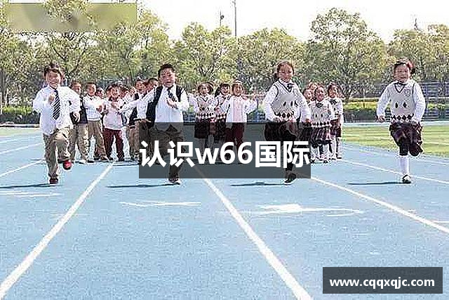 认识w66国际